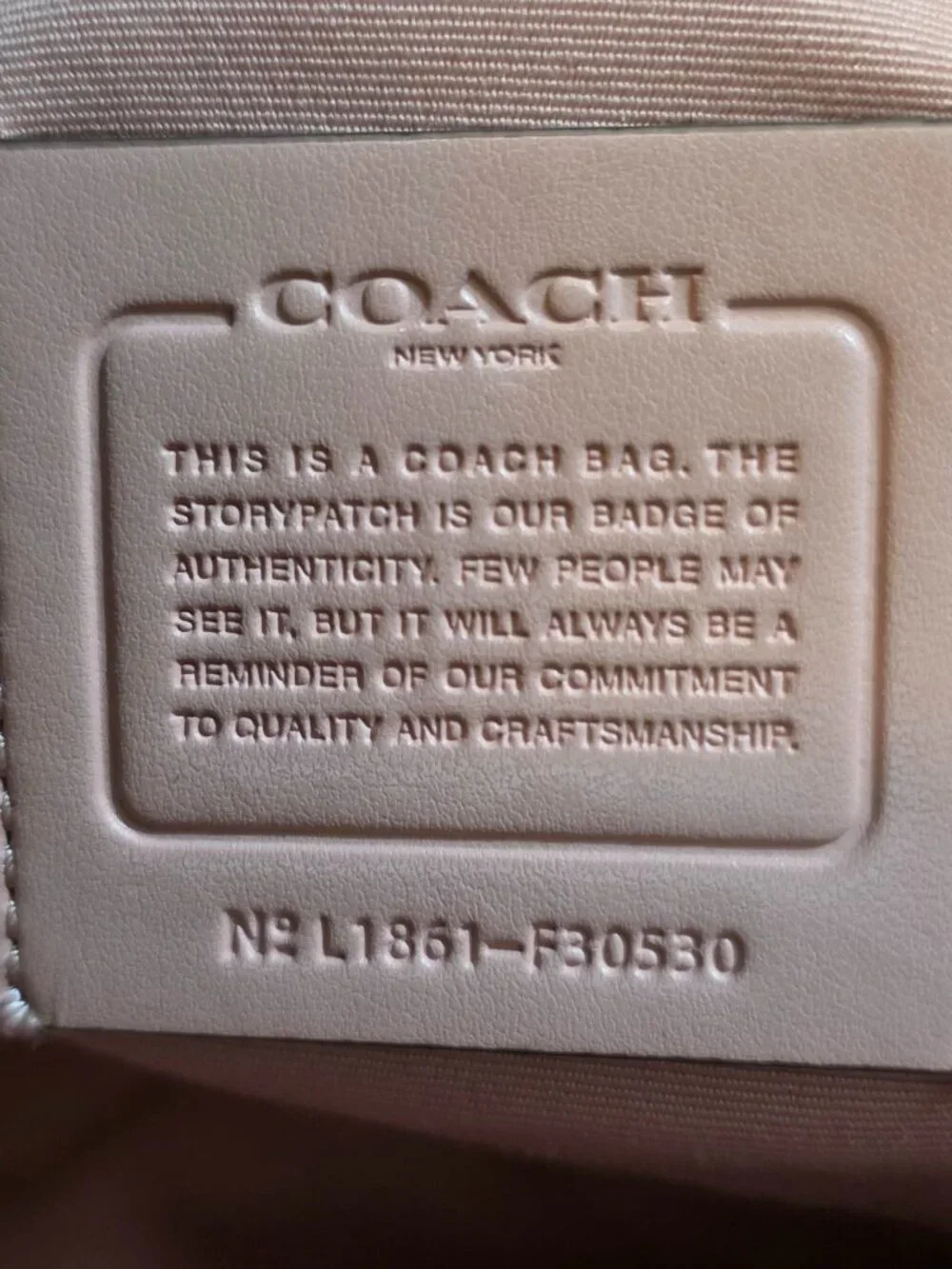 Coach Andi Light Pink Leather Convertible Mini Backpack